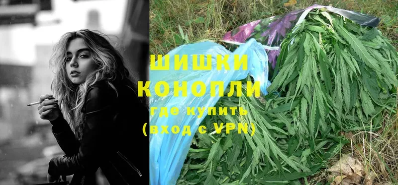 Каннабис OG Kush  Людиново 